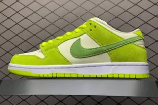 Nike SB Dunk Low Skate Shoes Multi