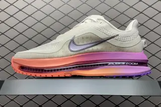 Nike Pegasus Premium Low-Top Running Shoes Multi