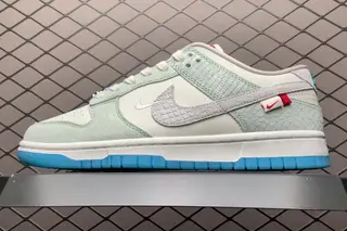 Nike Dunk Low Skate Shoes Multi