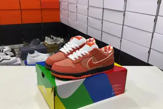 Nike Concepts x SB Dunk Low Red Lobster Plaid Skate Shoes Red