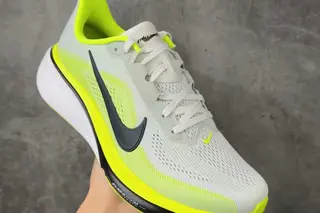 Nike Pegasus 42 Low-Top Running Shoes Multi
