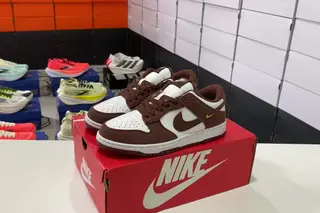 Nike Dunk Low Skate Shoes Multi