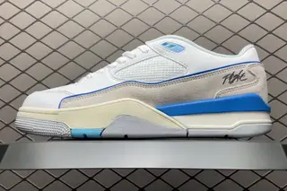 Nike Flight Court SP AJ Low-Top Basketball Shoes Multi