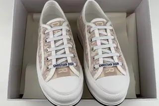Dior Walk'n' Oblique Monogram Low-Top Skate Shoes Pink