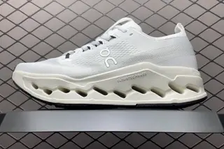 On Cloudsurfer Max Low-Top Sneakers Multi