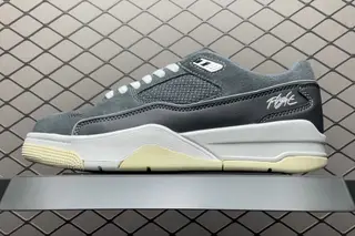 Nike Flight Court SP AJ Low-Top Basketball Shoes Multi