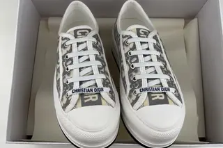 Dior Walk'n' Oblique Monogram Low-Top Skate Shoes Grey