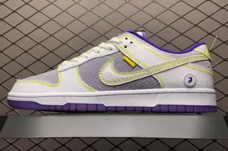 Nike Union x Dunk Low-Top Skate Shoes Multi