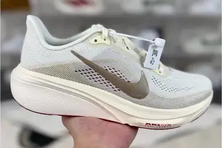 Nike Pegasus 42 Low-Top Running Shoes Multi