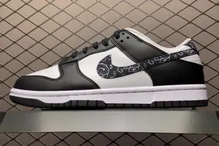 Nike Dunk Low Retro Black Paisley Skate Shoes Black White